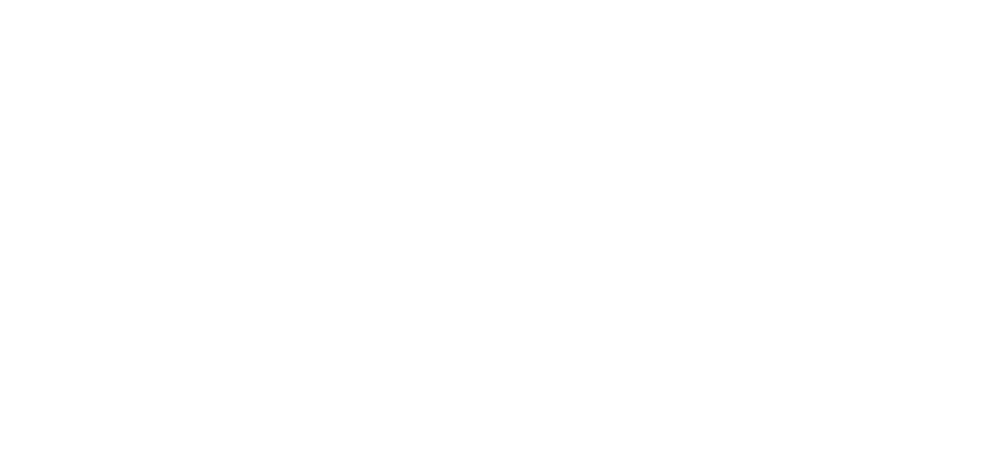 Dlex Electronics
